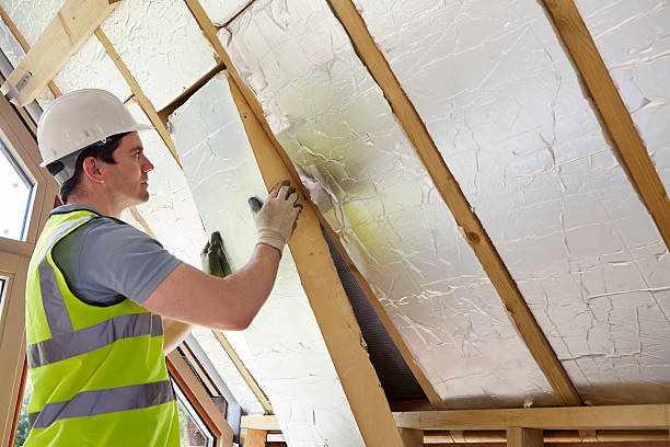 Best Cellulose Insulation in Paris, TN