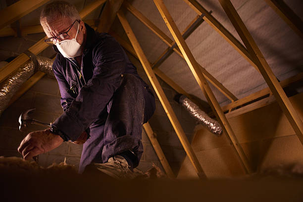 Best Spray Foam Insulation in Paris, TN
